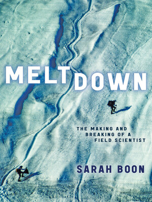 cover image of Meltdown